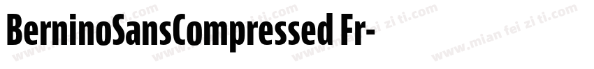 BerninoSansCompressed Fr字体转换